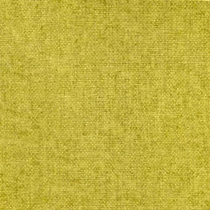 Kiwi Green