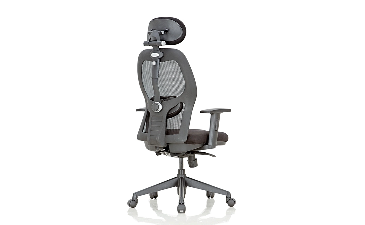 anatom-hb-jsku22-back-view