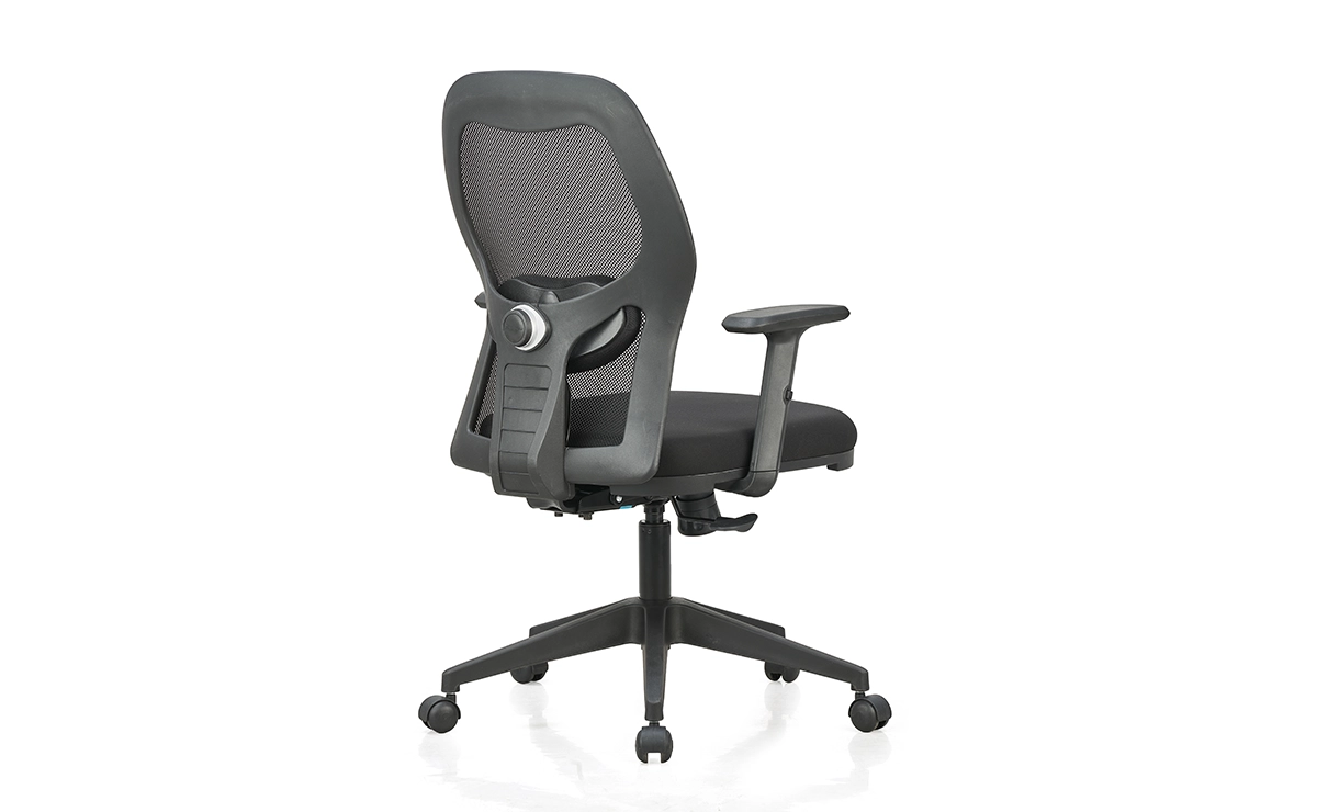 anatom-mb-jsku23-back-view
